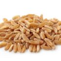 Long Wheat – 1Kg